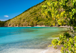 Francis Bay Beach in St. John United States Virgin Islands