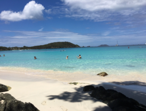 Hawksnest Bay Beach in St. John United States Virgin Islands