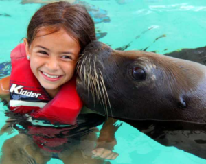 A girl who's having fun with a sealion