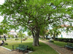 One of the tourist spot in US Virgin Island
